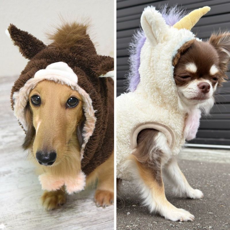 Idogpdogさま専用 iDog 干支のコスチューム お馬さんパーカー アイドッグ-犬猫用品