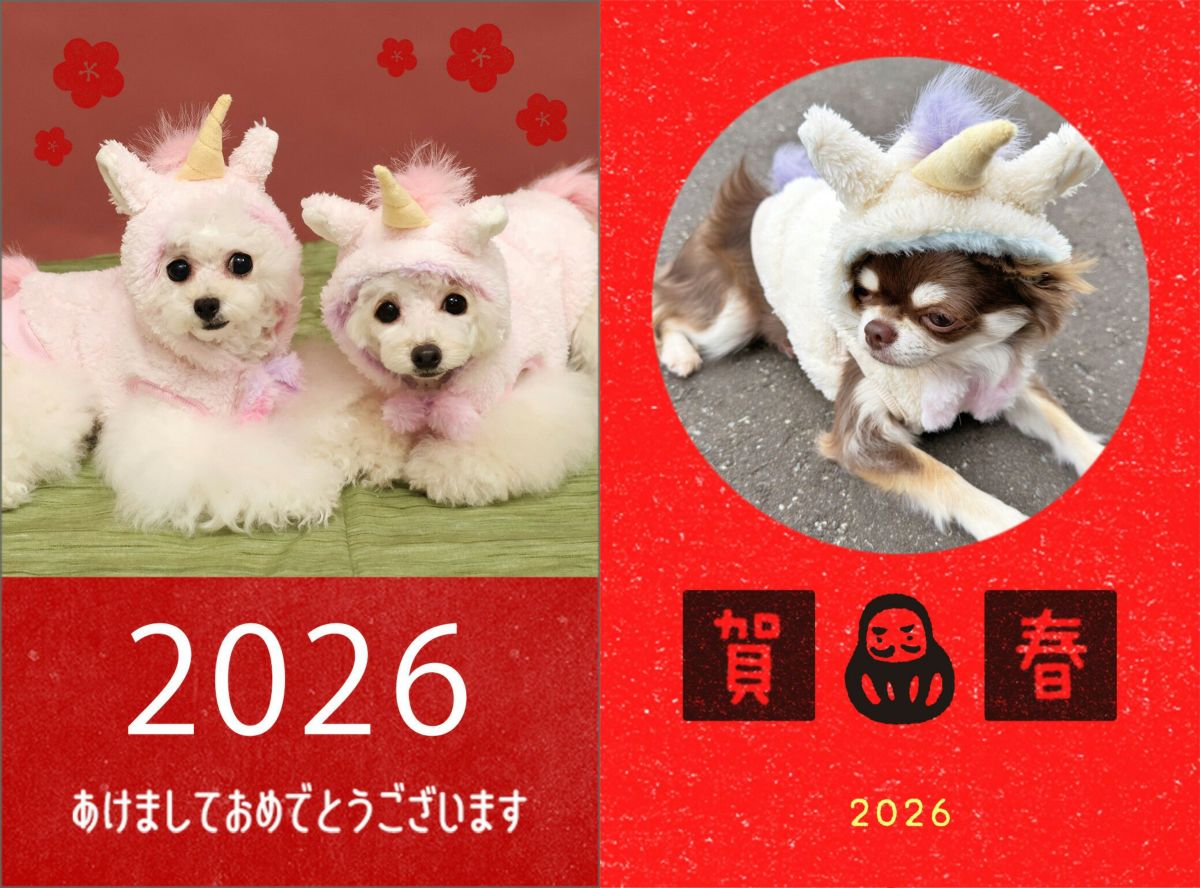愛犬・愛猫と素敵な新年をお迎えください