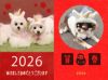 愛犬・愛猫と素敵な新年をお迎えください