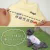 動きやすい工夫がいっぱいの犬用洋服