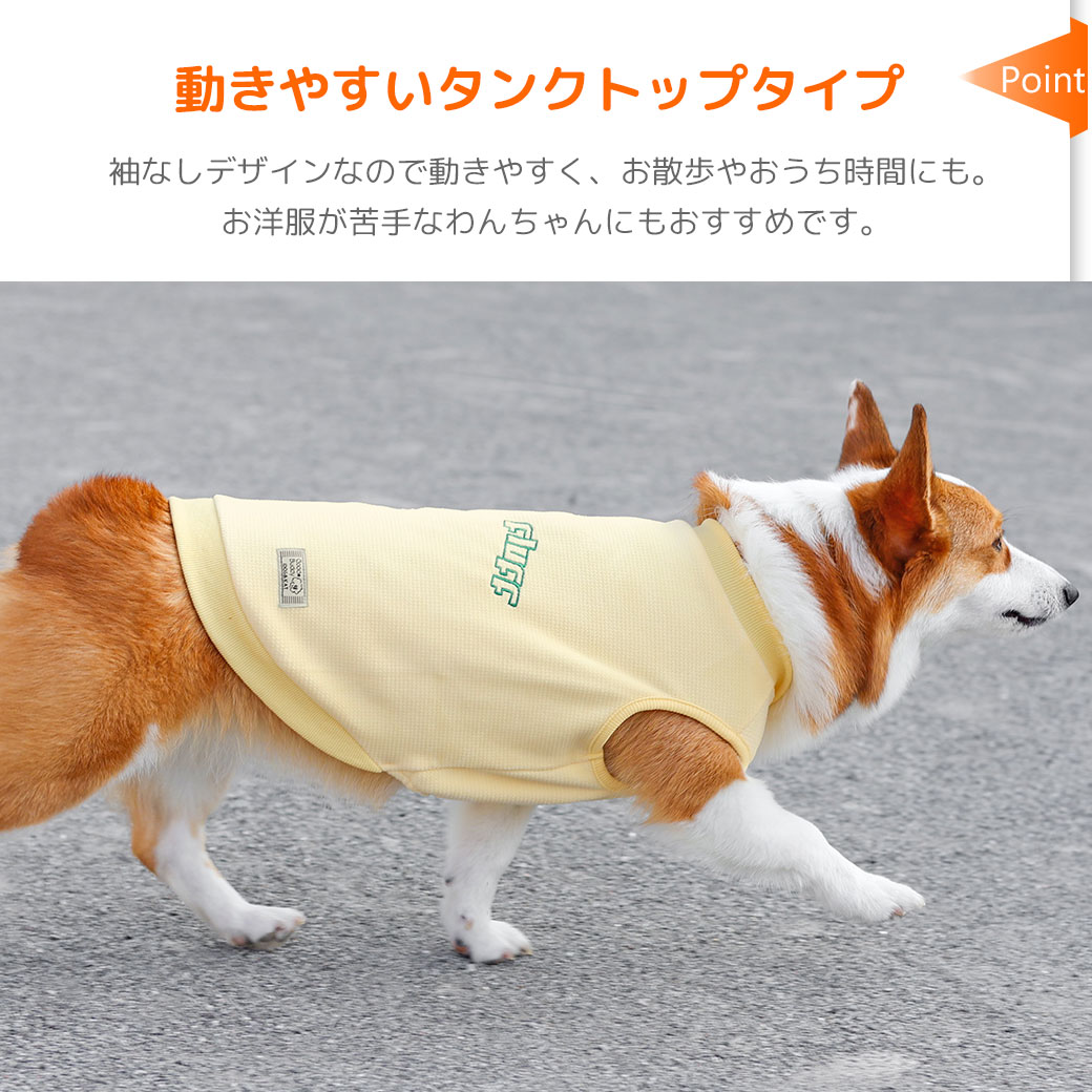 ポメラニアン2.4kg(首19/胴30/丈26cm)のはちみつちゃんはピンクのSを着用