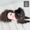ポメラニアン2.4kg(首19/胴30/丈26cm)のはちみつちゃんはピンクのSを着用