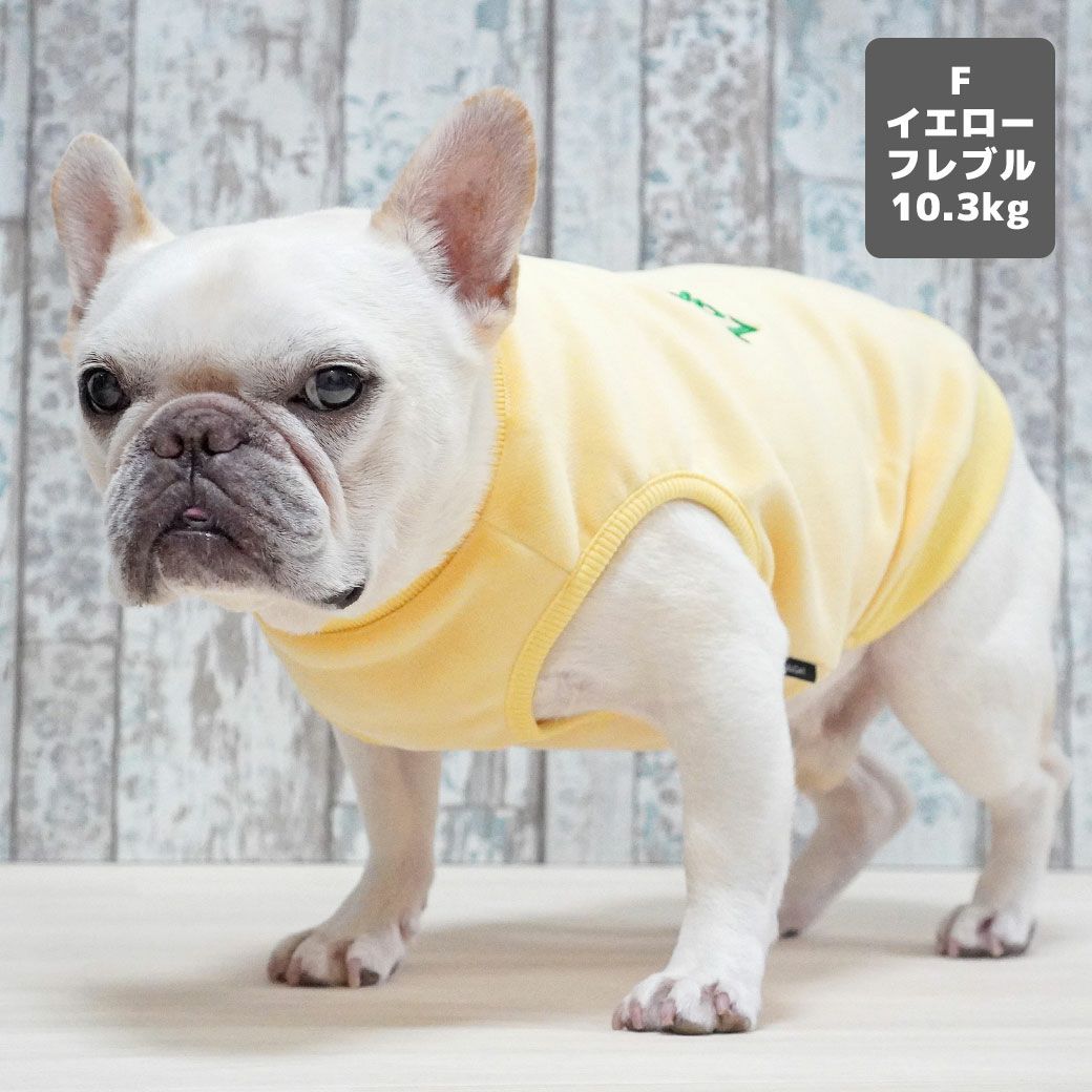 フレブル10.3kg(首38/胴56/丈34cm)のブランくんはイエローのFを着用