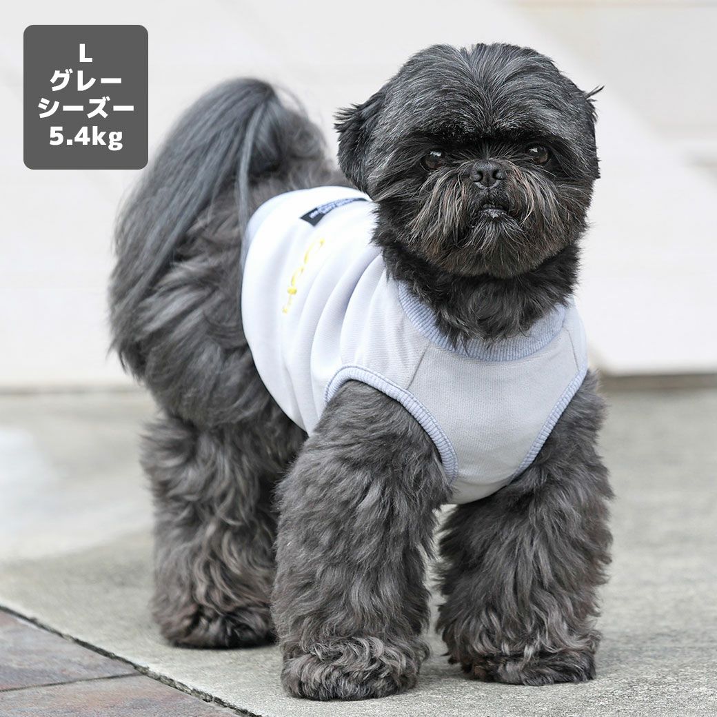 シーズー5.4kg(首26/胴38/丈38cm)のつぶくんはグレーのLを着用