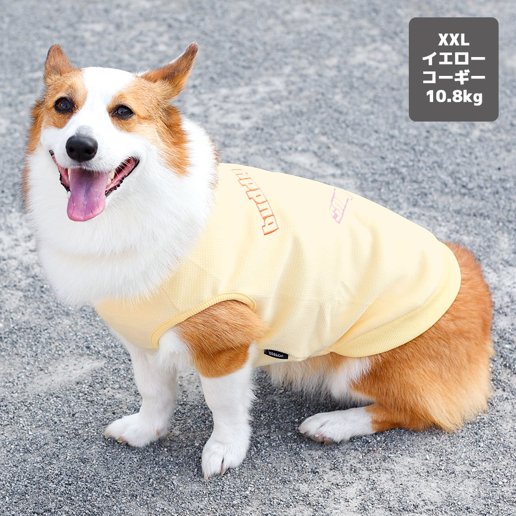 サイズ表