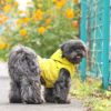 雨の日も風の日もお散歩に行きたい愛犬に