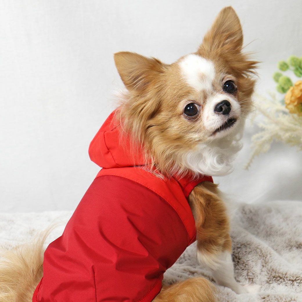 スタイリッシュなデザイン