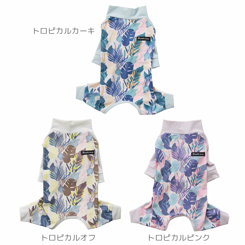 全３カラー