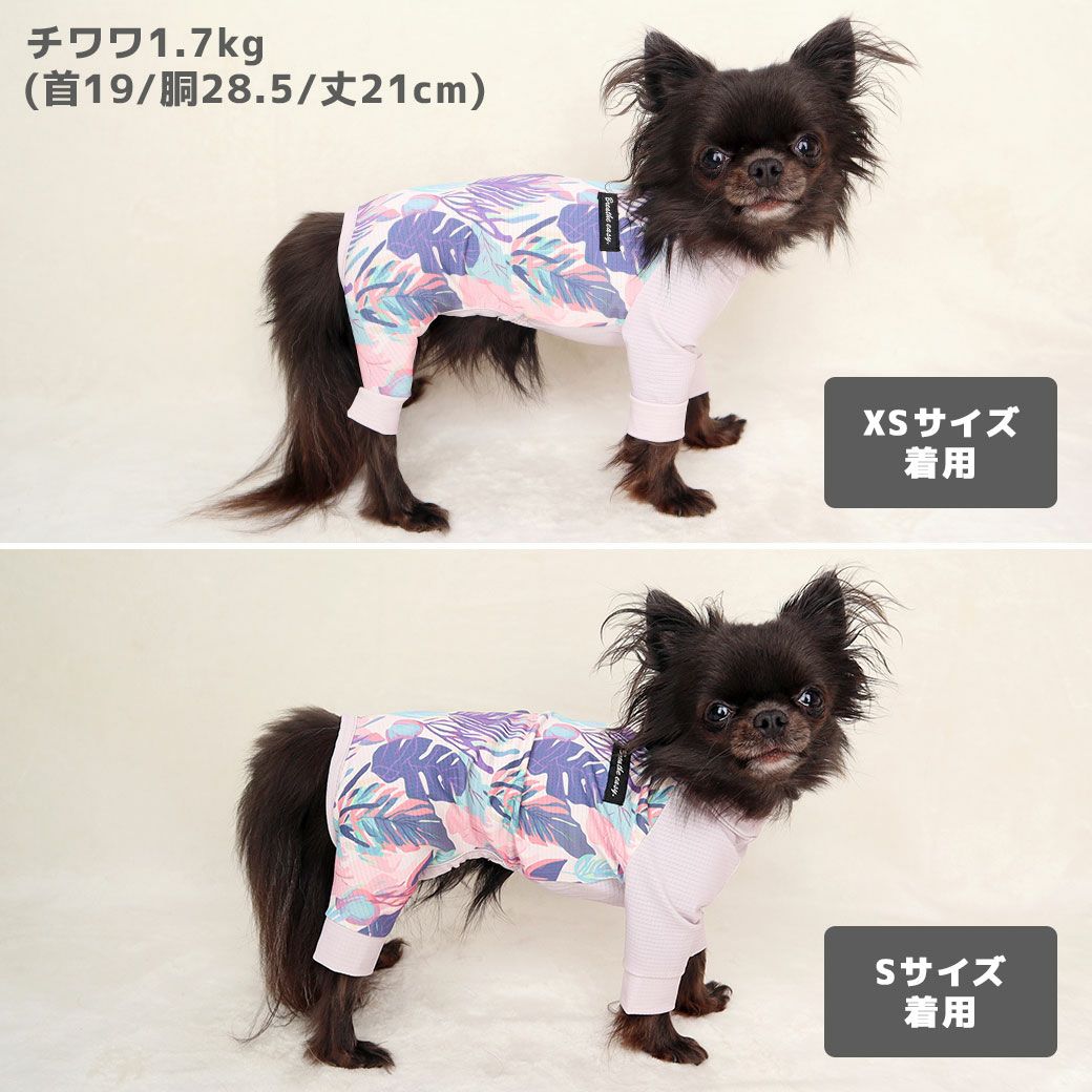 チワワ1.7kg(首19/胴28.5/丈21cm)の小桃ちゃんはトロピカルピンクのXSとSを着用