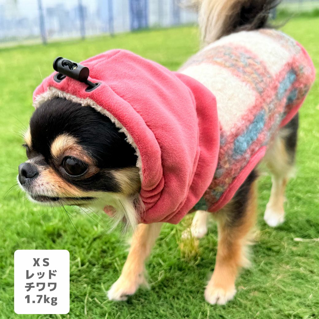 チワワ1.7kg(首18/胴23/丈27cm)のざらめちゃんはレッドのXSを着用