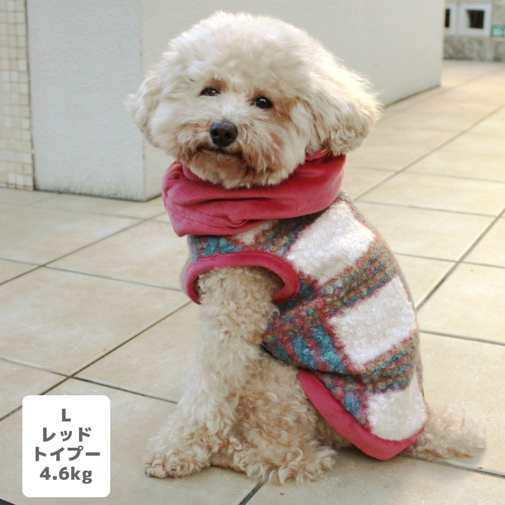 トイプー4.6kg(首25/胴40/丈34cm)のフク丸くんはレッドのLを着用