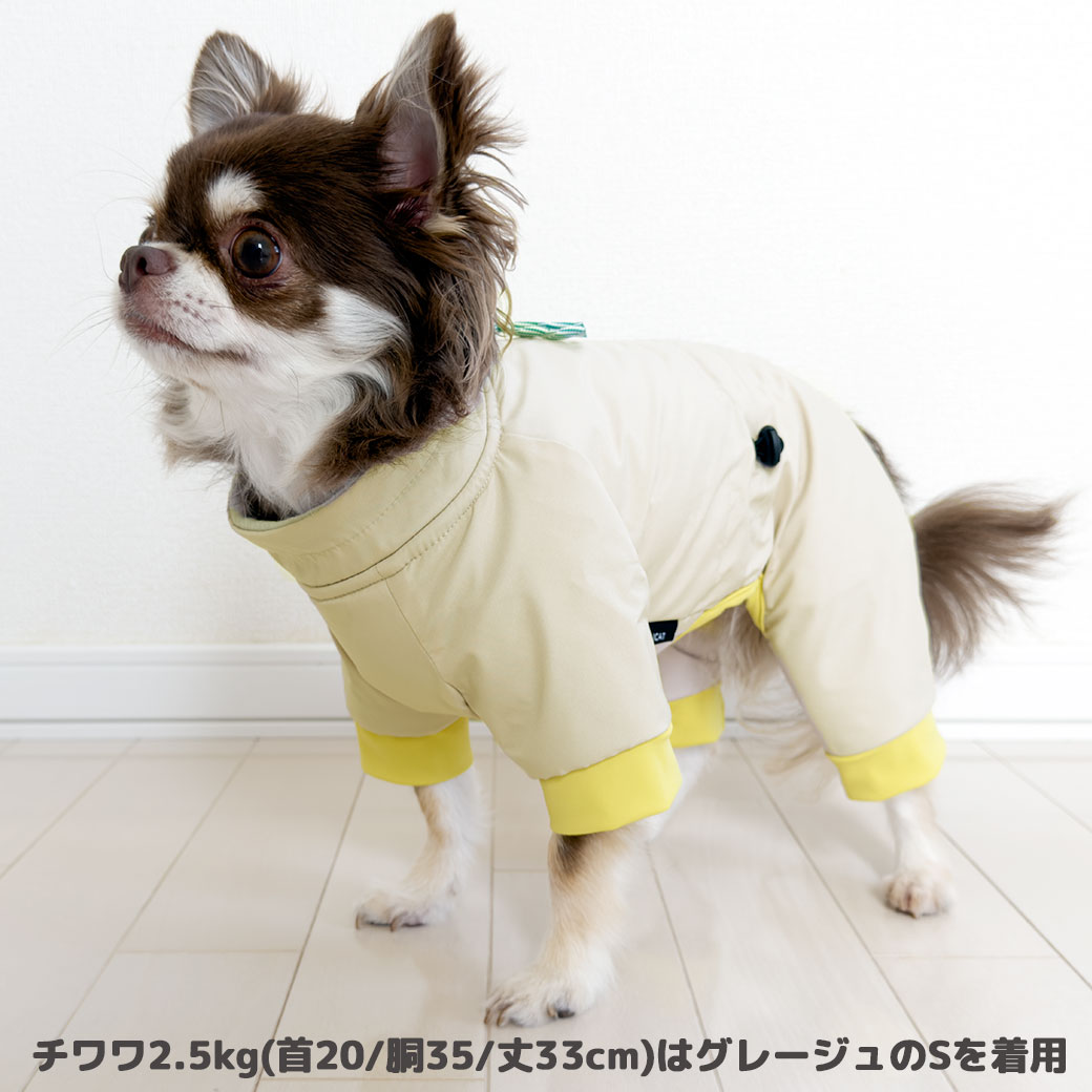 チワワ2.69kg(首21/胴34/丈25cm)の涼央くんはアースイエローのMを着用