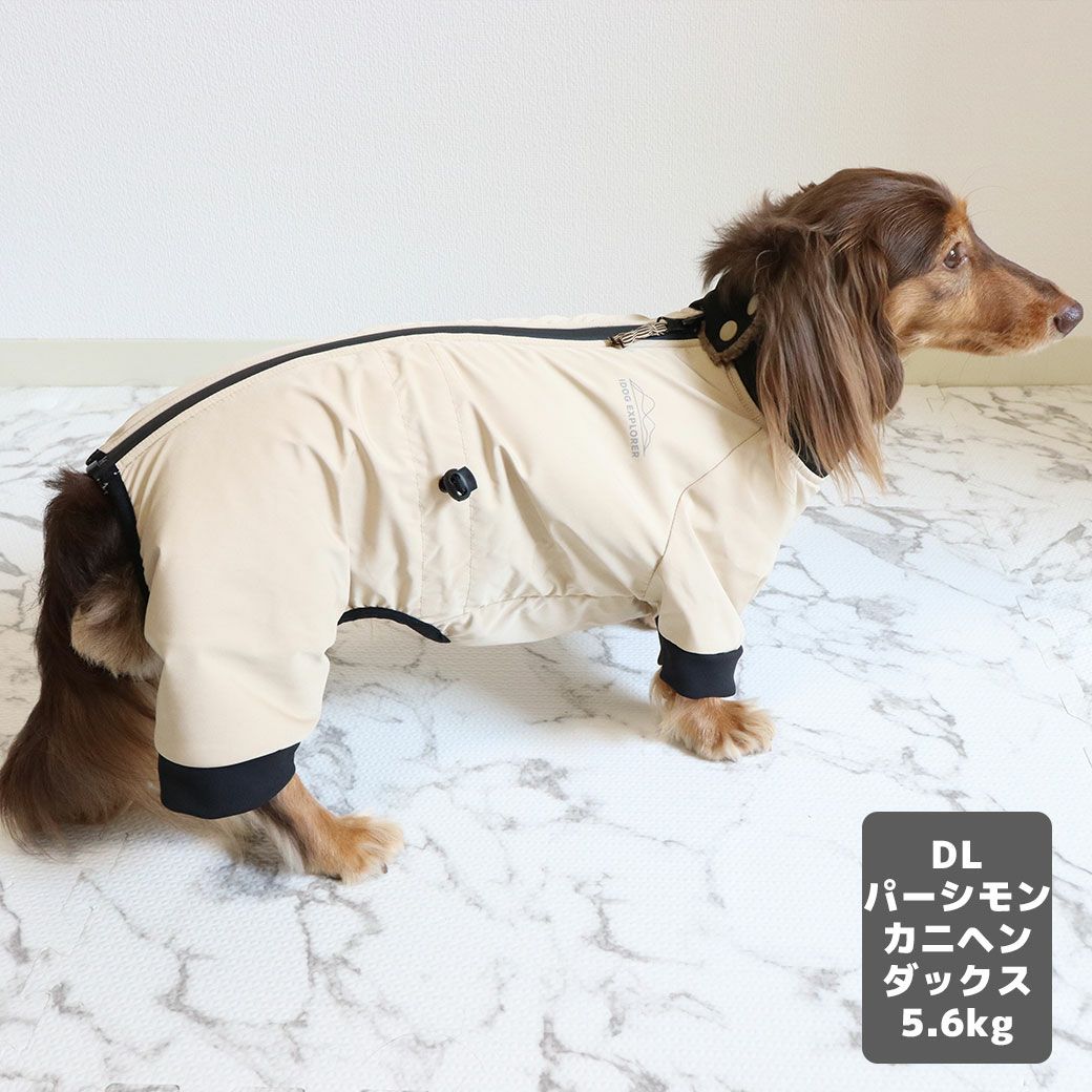 カニヘンダックス5.6kg(首35/胴43/丈37cm)のハクくんはパーシモンのDLを着用