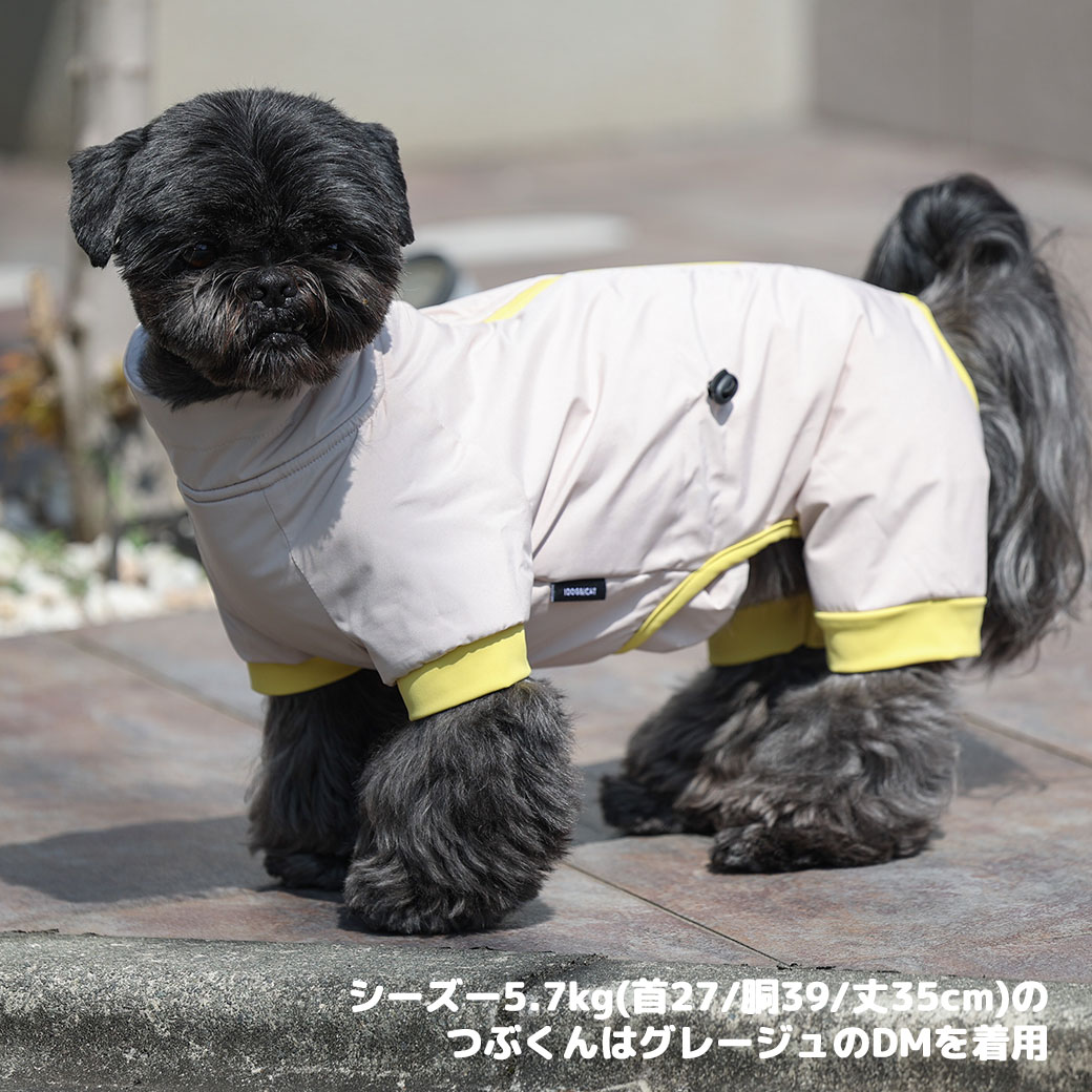 カニヘンダックス5.6kg(首35/胴43/丈37cm)のハクくんはパーシモンのDLを着用