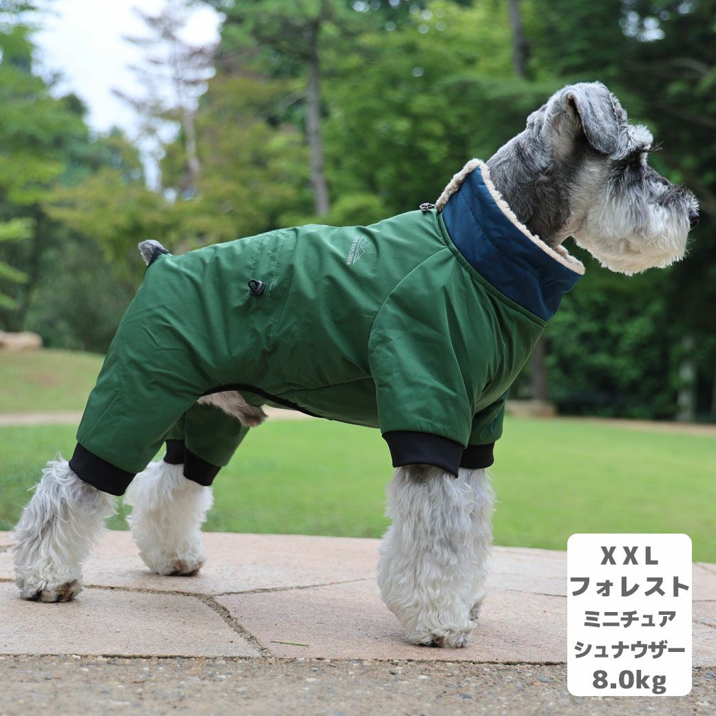 ミニチュアシュナウザー8.0kg(首30/胴48/丈37cm)のマハロくんはフォレストのXXLを着用