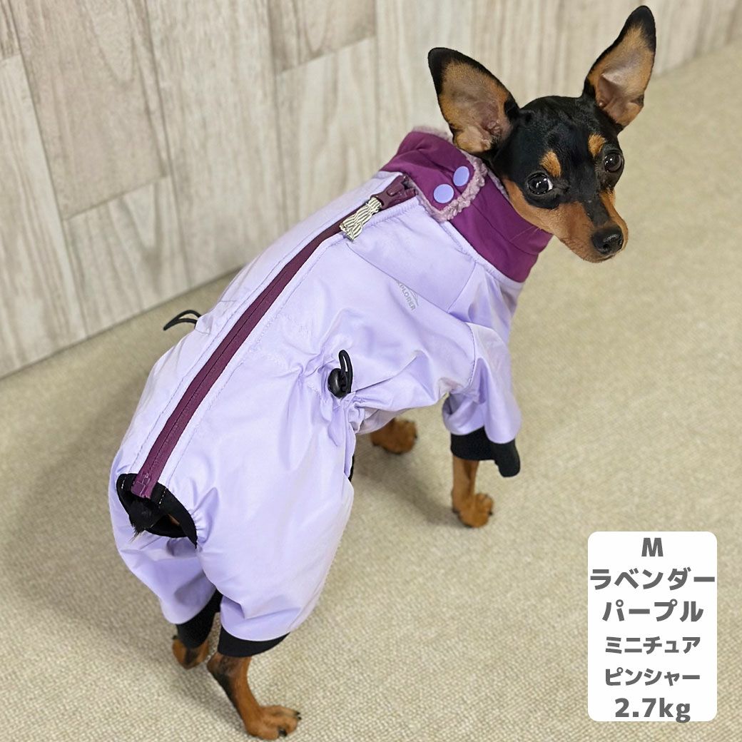 ミニピン2.7kg(首20/胴36/丈23.5cm)のルナちゃんはラベンダーパープルのMを着用