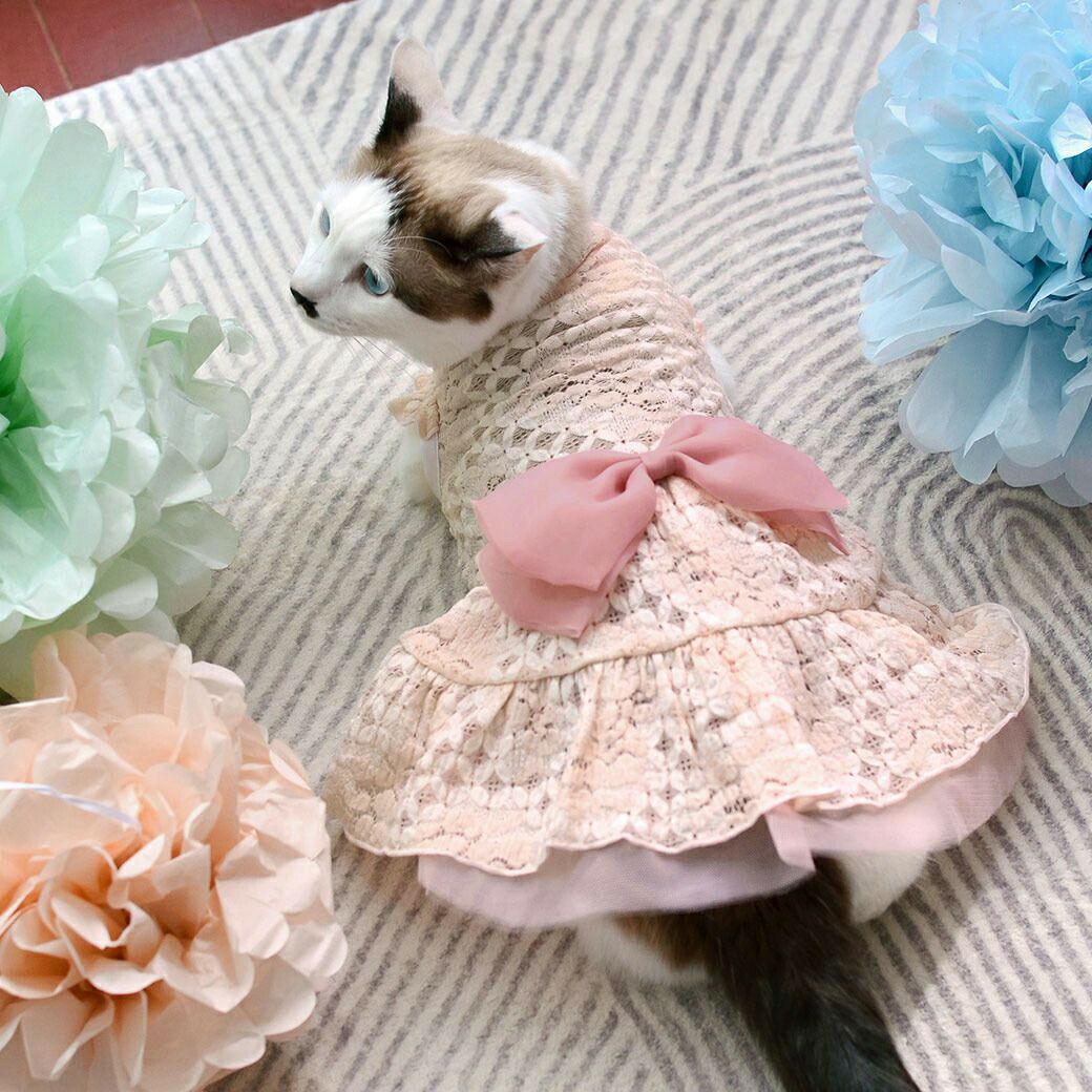 ウェディング風ワンピ