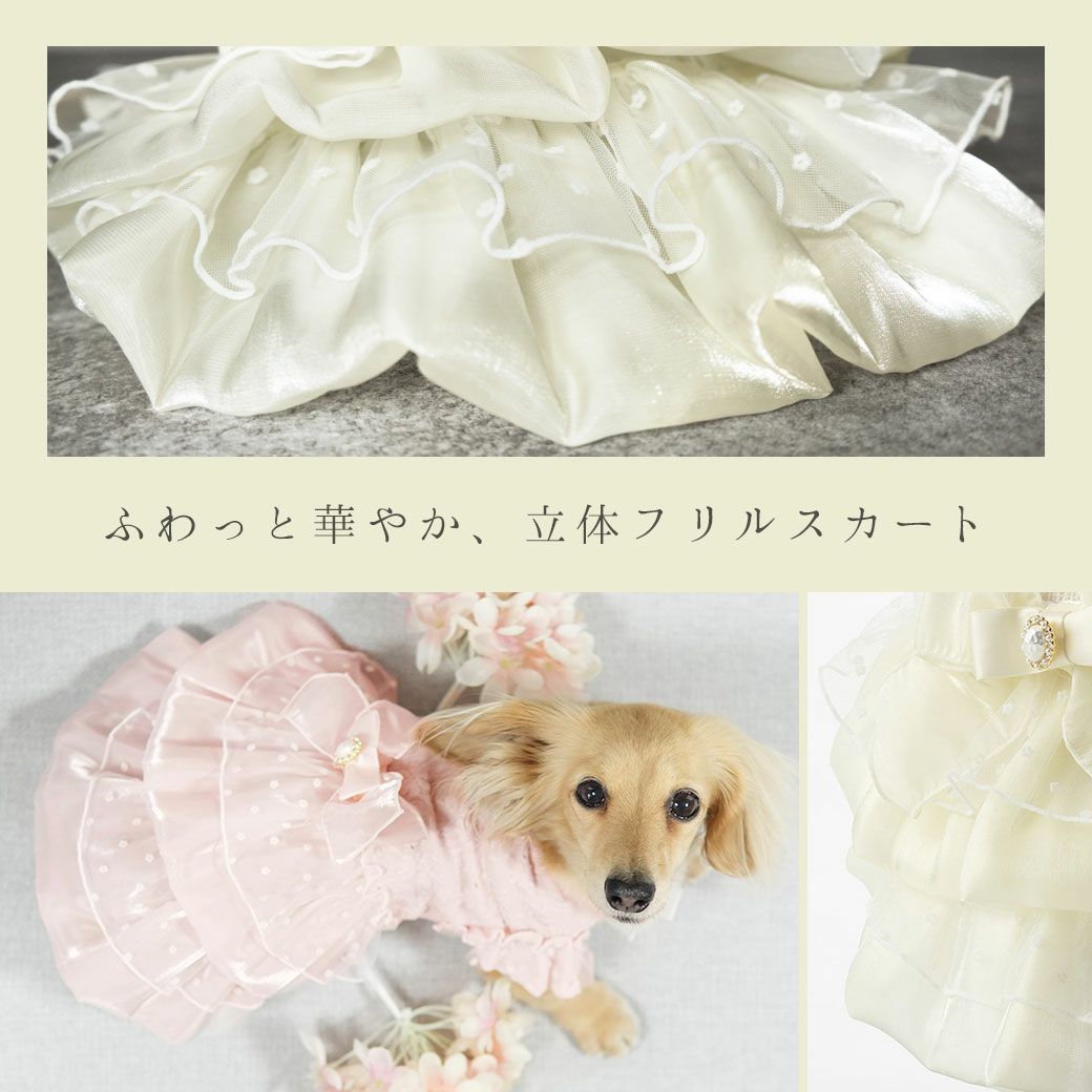 細部までこだわったデザイン