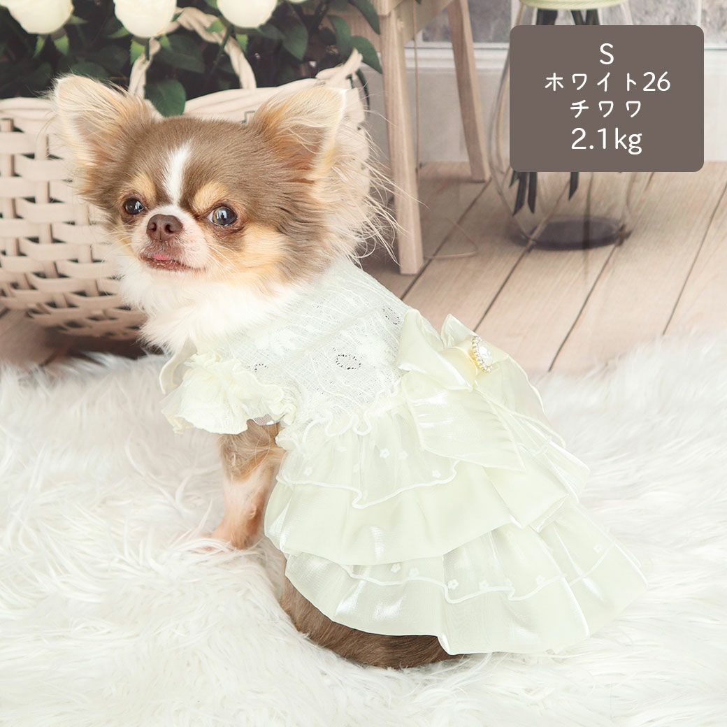 MIX3.5kg(首19/胴30/丈31cm)の風花ちゃんはピンクのDS着用