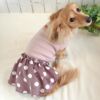 ミニチュアダックス3.9kg(首25/胴37/丈31cm)のクムちゃんはピンクベージュ×ココアのDSを着用