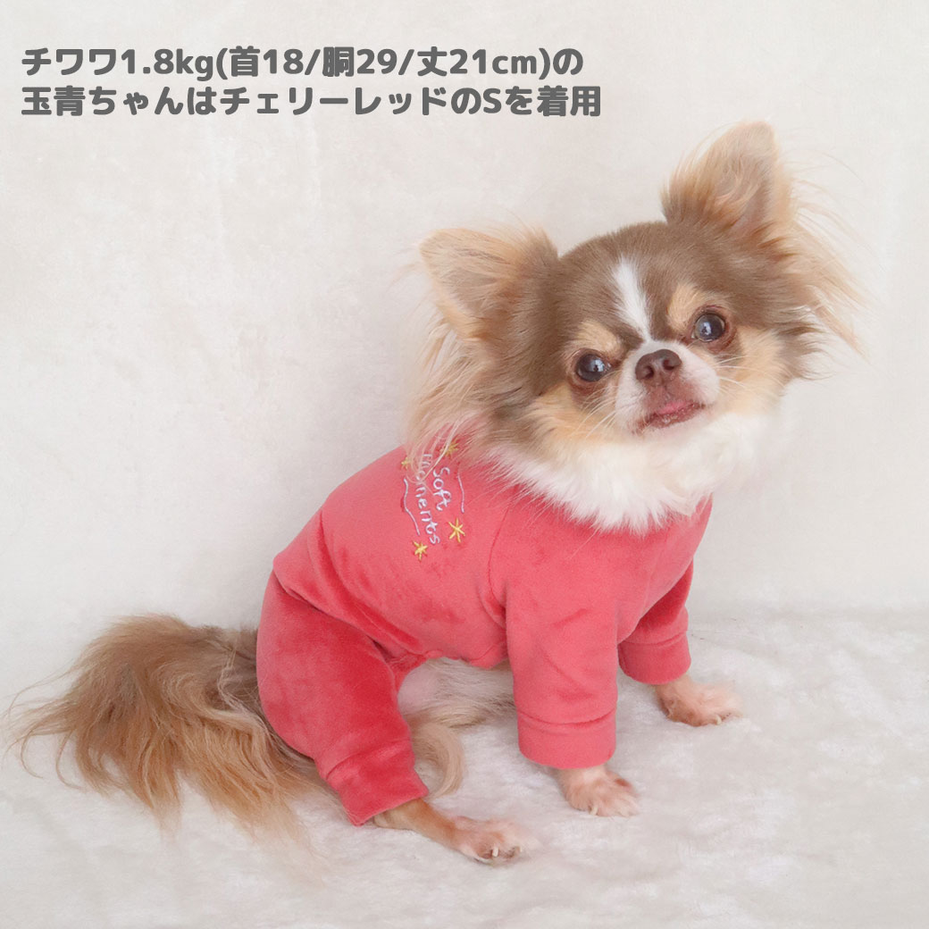 トイプー1.9kg(首17/胴29/丈22cm)のメリナちゃんはピーチピンクのSを着用