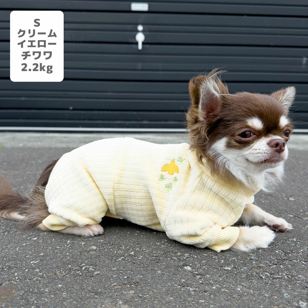 チワワ2.2kg(首18.5/胴30/丈30cm)のピクルスくんはクリームイエローのSを着用