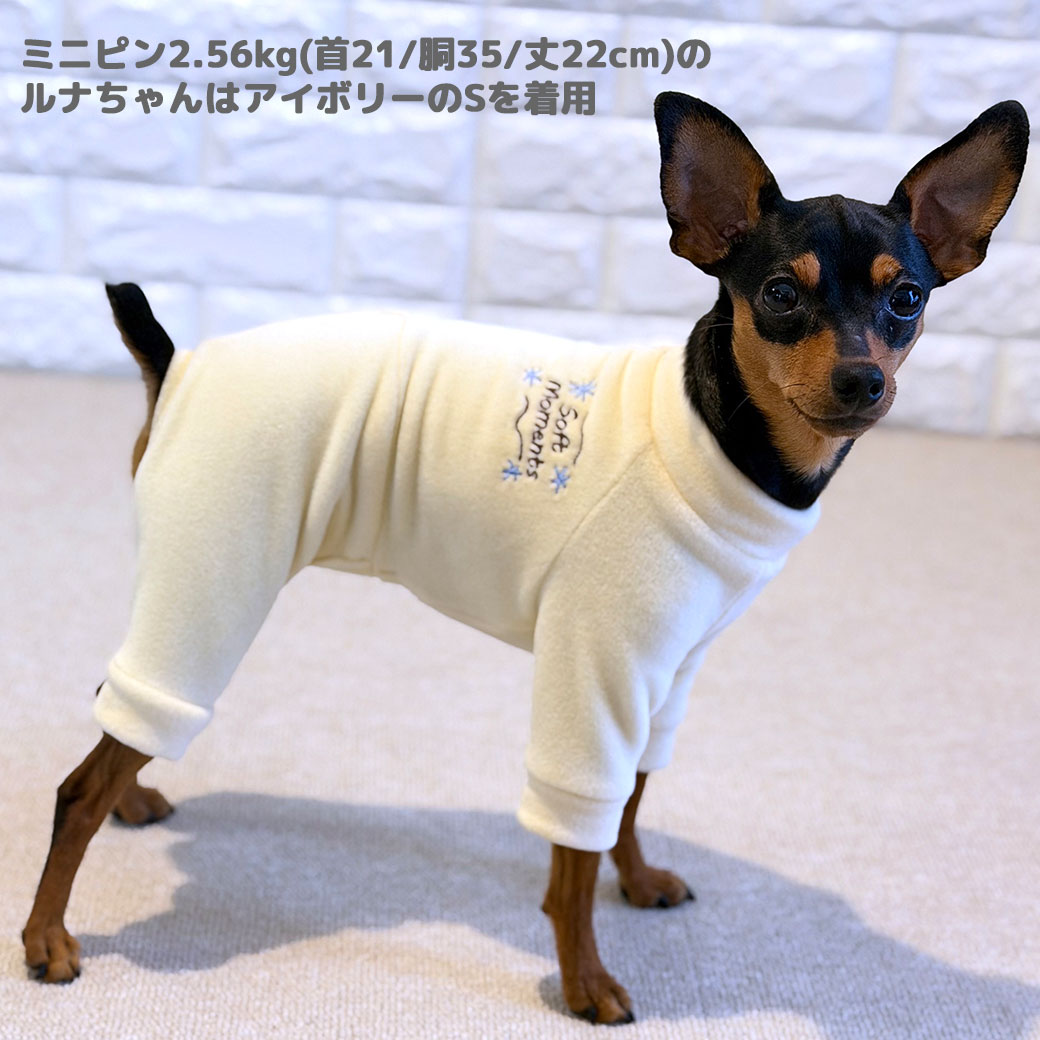 チワワ2.2kg(首18.5/胴30/丈30cm)のピクルスくんはクリームイエローのSを着用