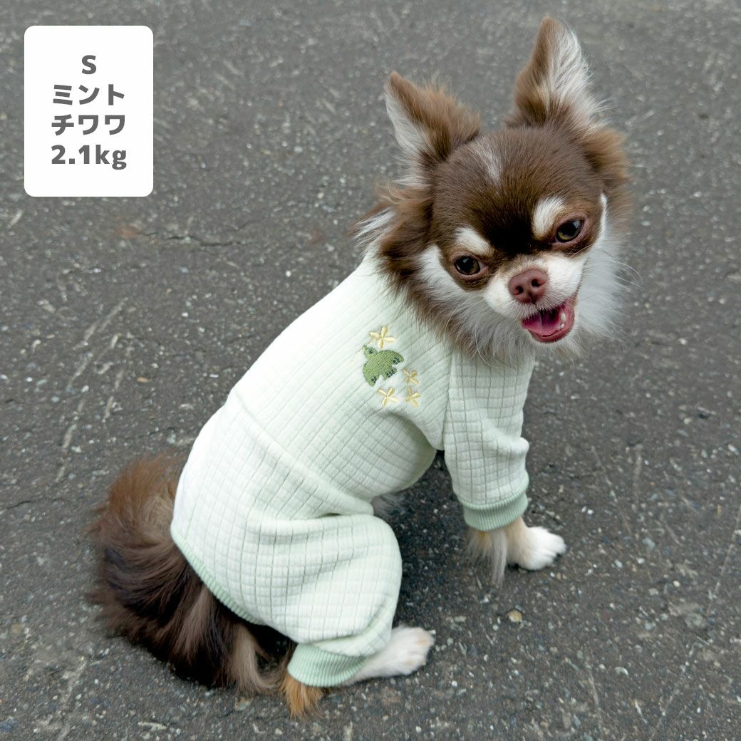 チワワ2.1kg(首19.5/胴30/丈30cm)のオリーブくんはミントのSを着用