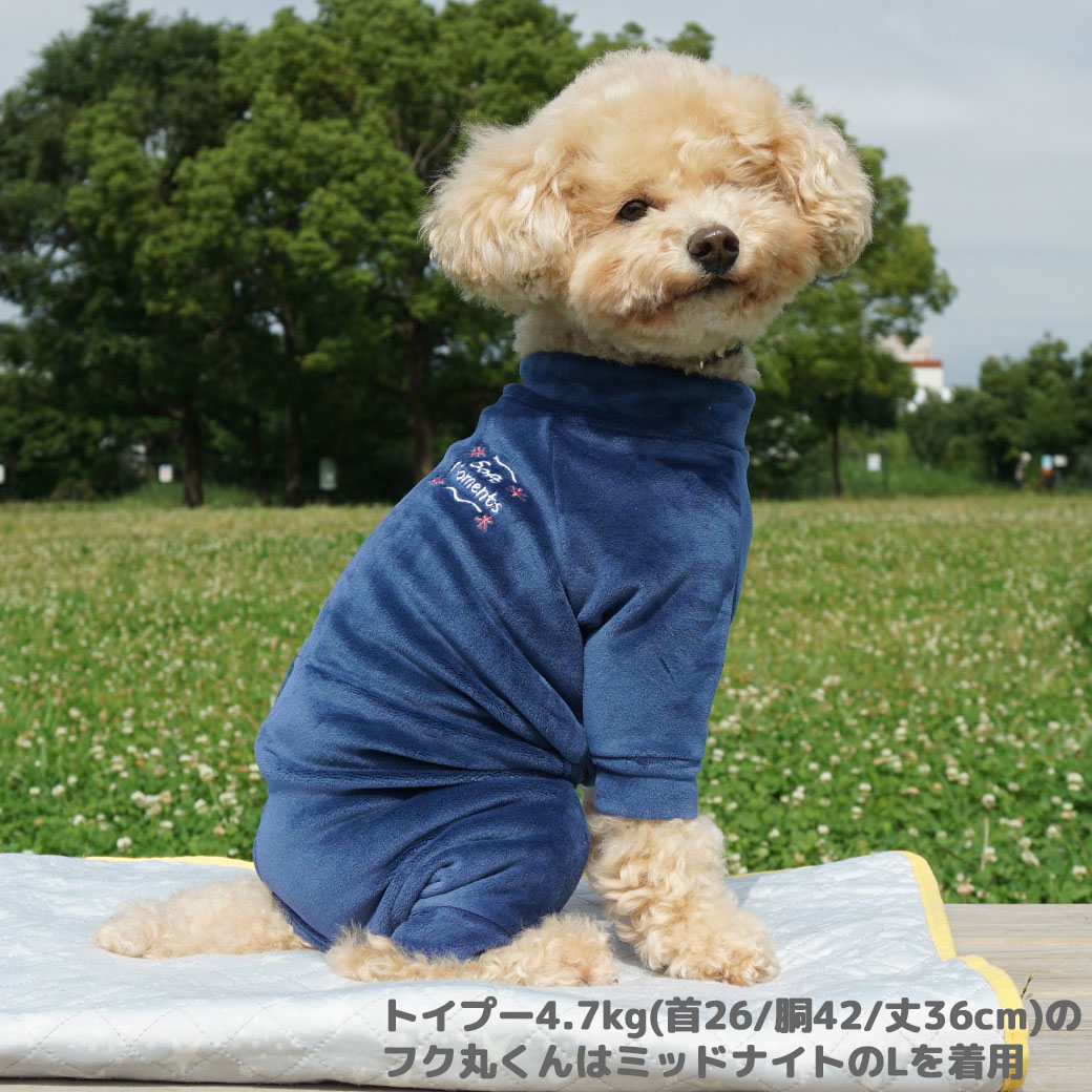 チワワ2.1kg(首19.5/胴30/丈30cm)のオリーブくんはミントのSを着用