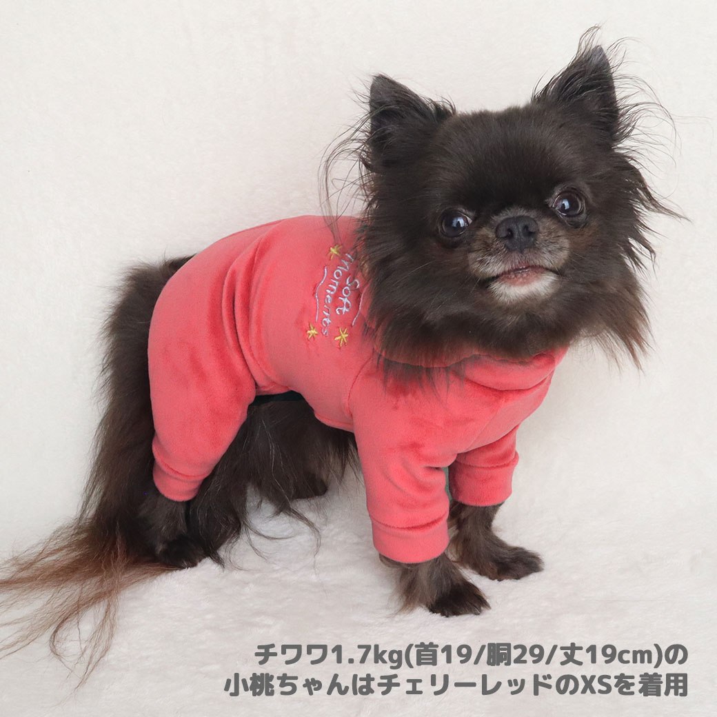 フレブル10.3kg(首38/胴56/丈34cm)のブランくんはミントのFを着用