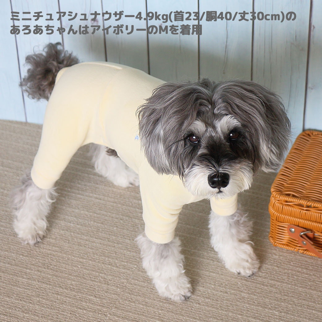 シーズー5.4kg(首26/胴38/丈38cm)のつぶくんはスカイブルーのDMを着用