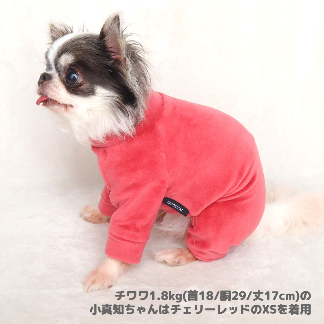 サイズ表