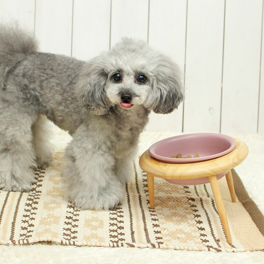 トイプー2.3kg(首18/胴31/丈24cm)のメルシーちゃんはピンク(傾斜型)を使用