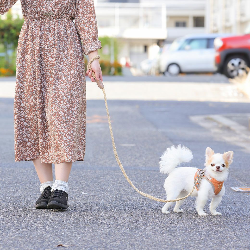 落ち着いたカラーリング