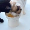 愛犬・愛猫が食べやすい高さ