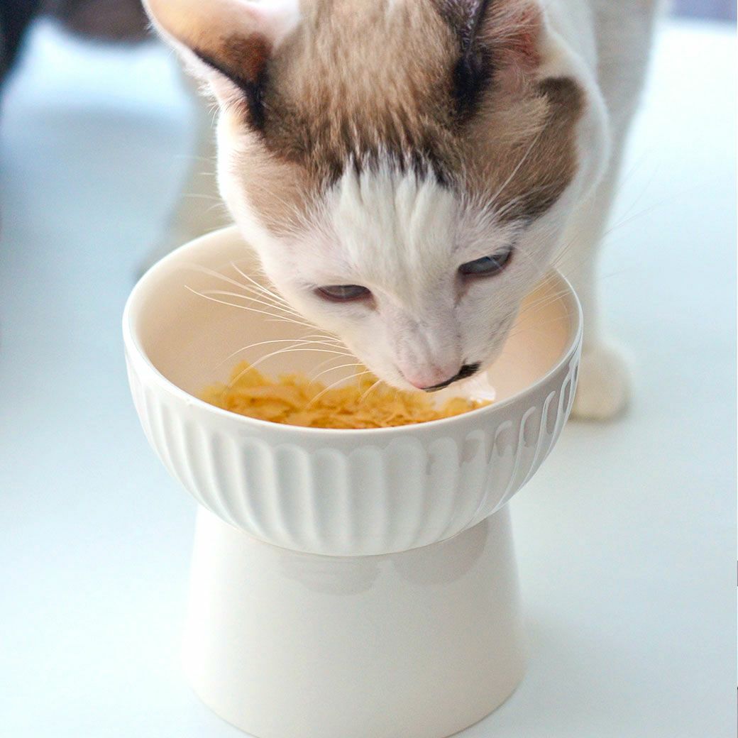 MIX3.5kg(首19/胴30/丈31cm)の風花ちゃんはホワイトを使用