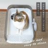 iCatセミクローズドプラスチックサンドボックス