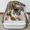 マンチカン4kgのこゆきちゃんはホワイトを使用