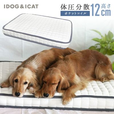 犬服・ドッグウェア・ペットグッズ公式通販サイト | IDOG&ICAT