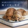 ポケットコイルマットレスコンフォートスリープ愛犬用95×65cm