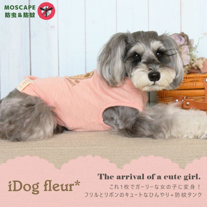 iDog MOSCAPE くまさんボーダータンク 防蚊 アイドッグ-犬猫