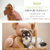 正面から見てもかわいい！こだわり仕様の犬用フーディ