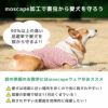 moscape加工で害虫から愛犬を守ろう！