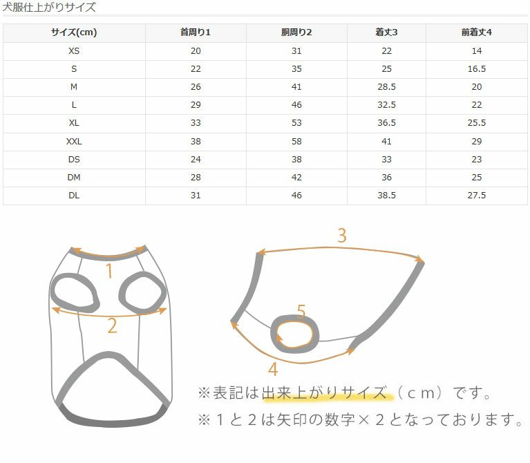 サイズ表
