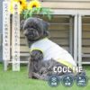 iDogCOOLMEプリントタンク冷感ひんやりアイドッグ