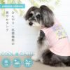 iDogCOOLChillブロックスタープリントタンク接触冷感