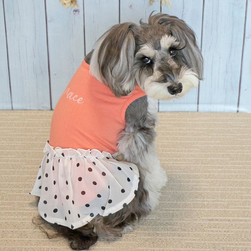 ぴーち様♡プリーツシフォン♡ワンピース♡ハンドメイド♡犬服♡オーダー♡ 犬服 フリンジシフォン 大きめワンピース ハンドメイド - メルカリ