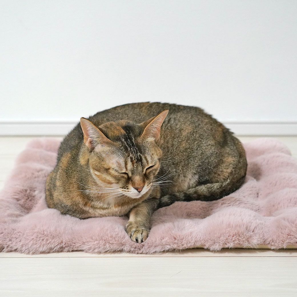 MIX4.5kg(首21/胴36/丈34cm)のニコちゃんはピンクを使用