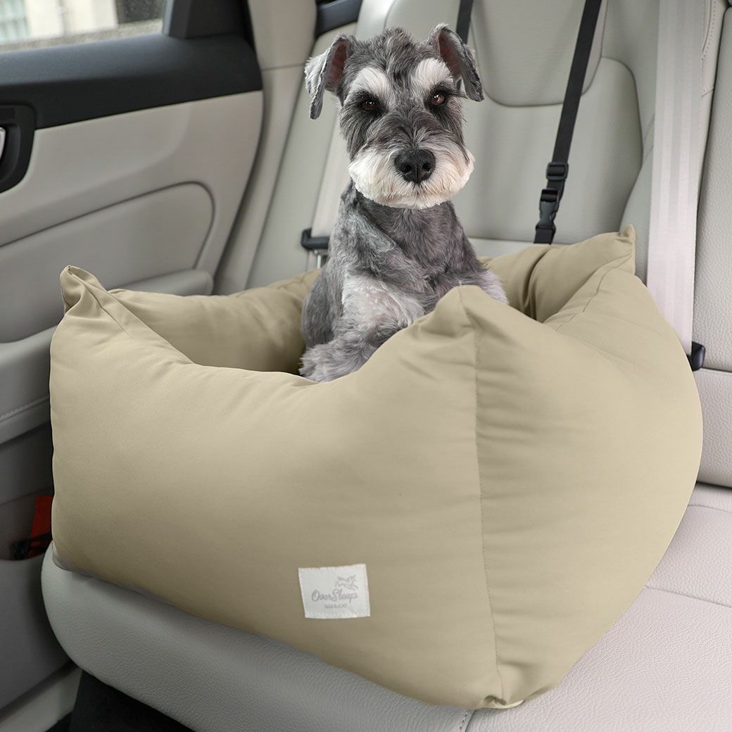 ミニチュアシュナウザー8.0kgのマハロくんはフォーンを使用