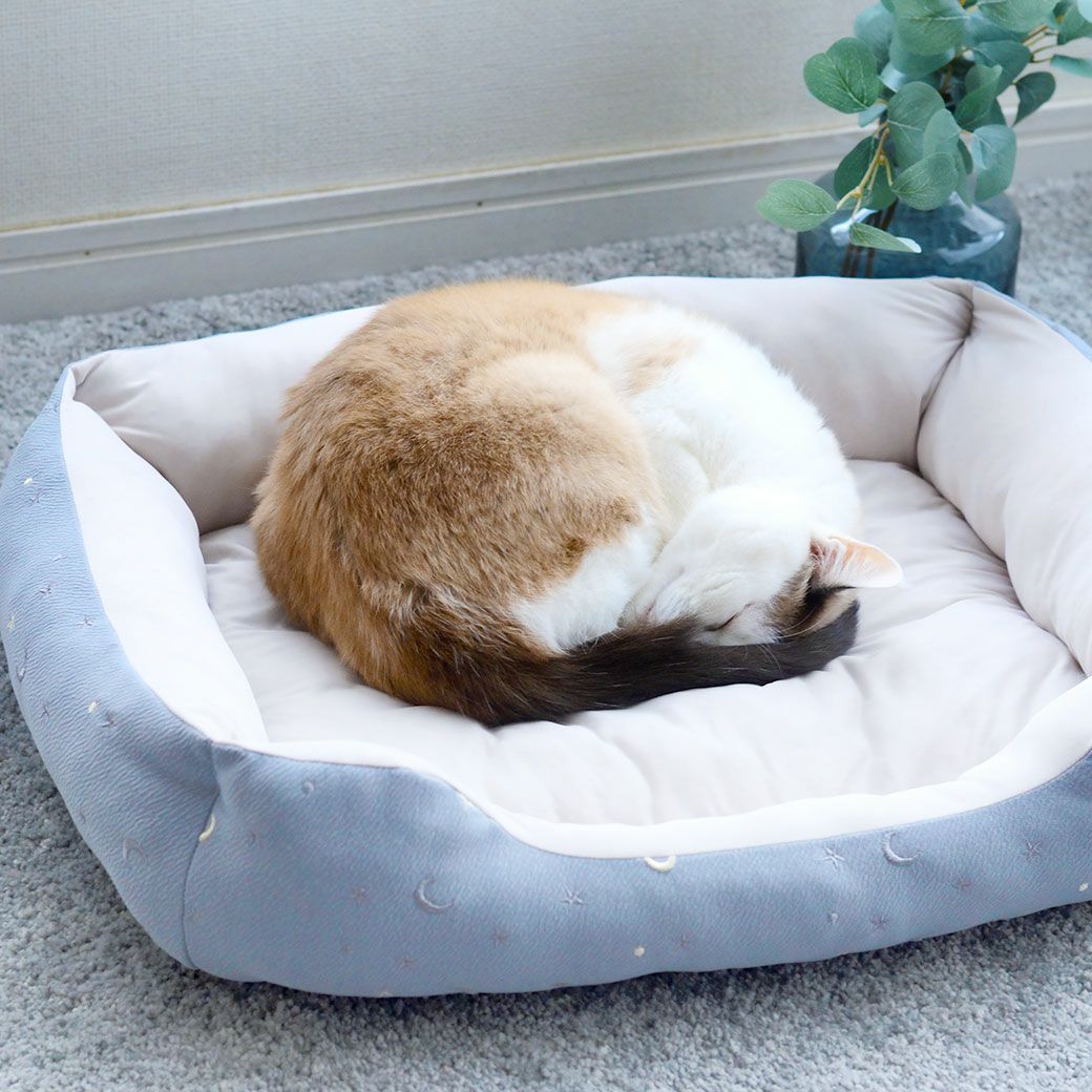 MIX4.0kg(首18.5/胴39/丈38cm)の六花ちゃんはグレーを使用